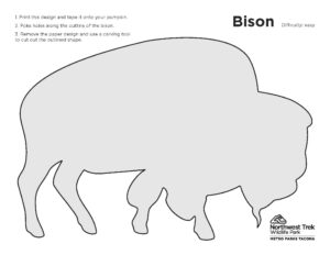 bison pumpkin carving template