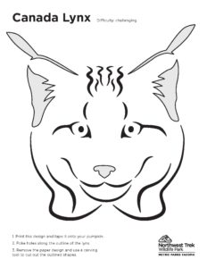 Canada lynx pumpkin carving template