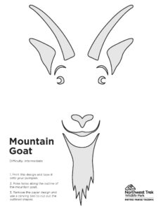 mt goat pumpkin carving template