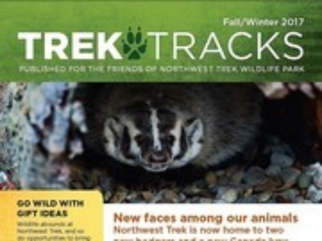 Trek Tracks newsletter winter 2017