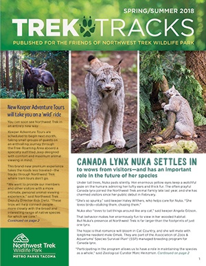 Trek Tracks newsletter spring summer 2018