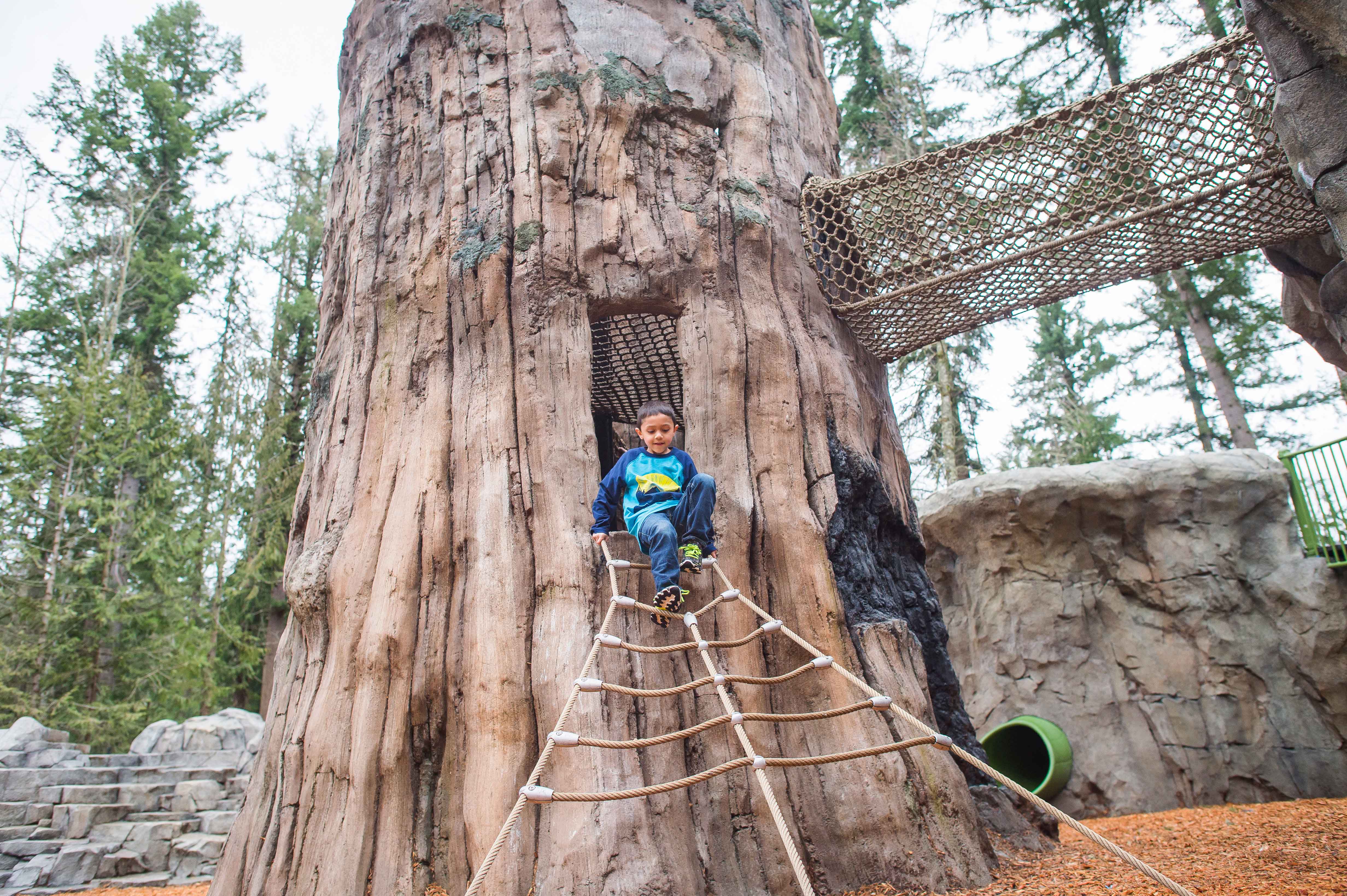 Kid on giant tree rope ladder
