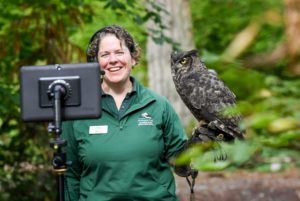 virtual field trip keeper with owl