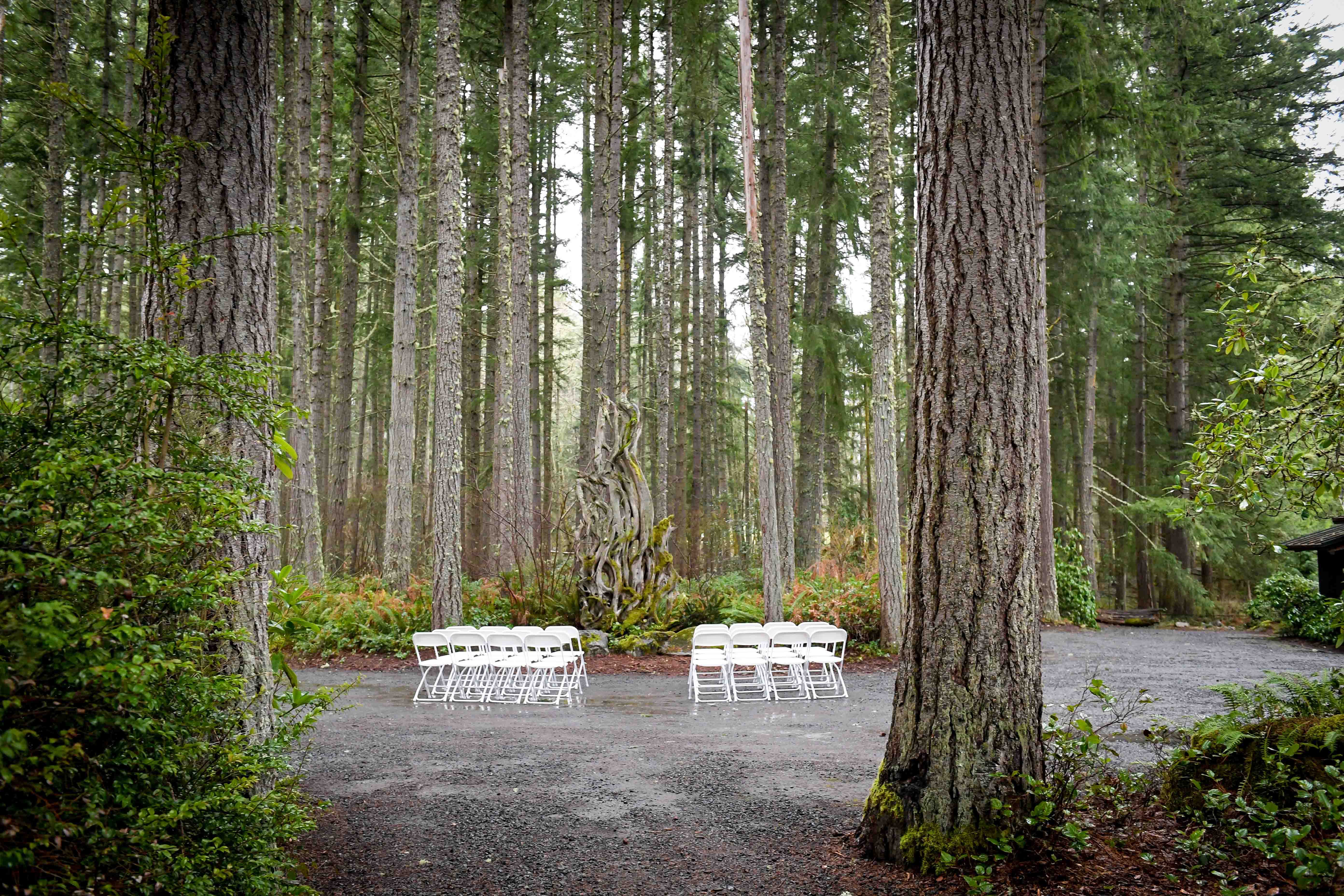 wedding seats in forest