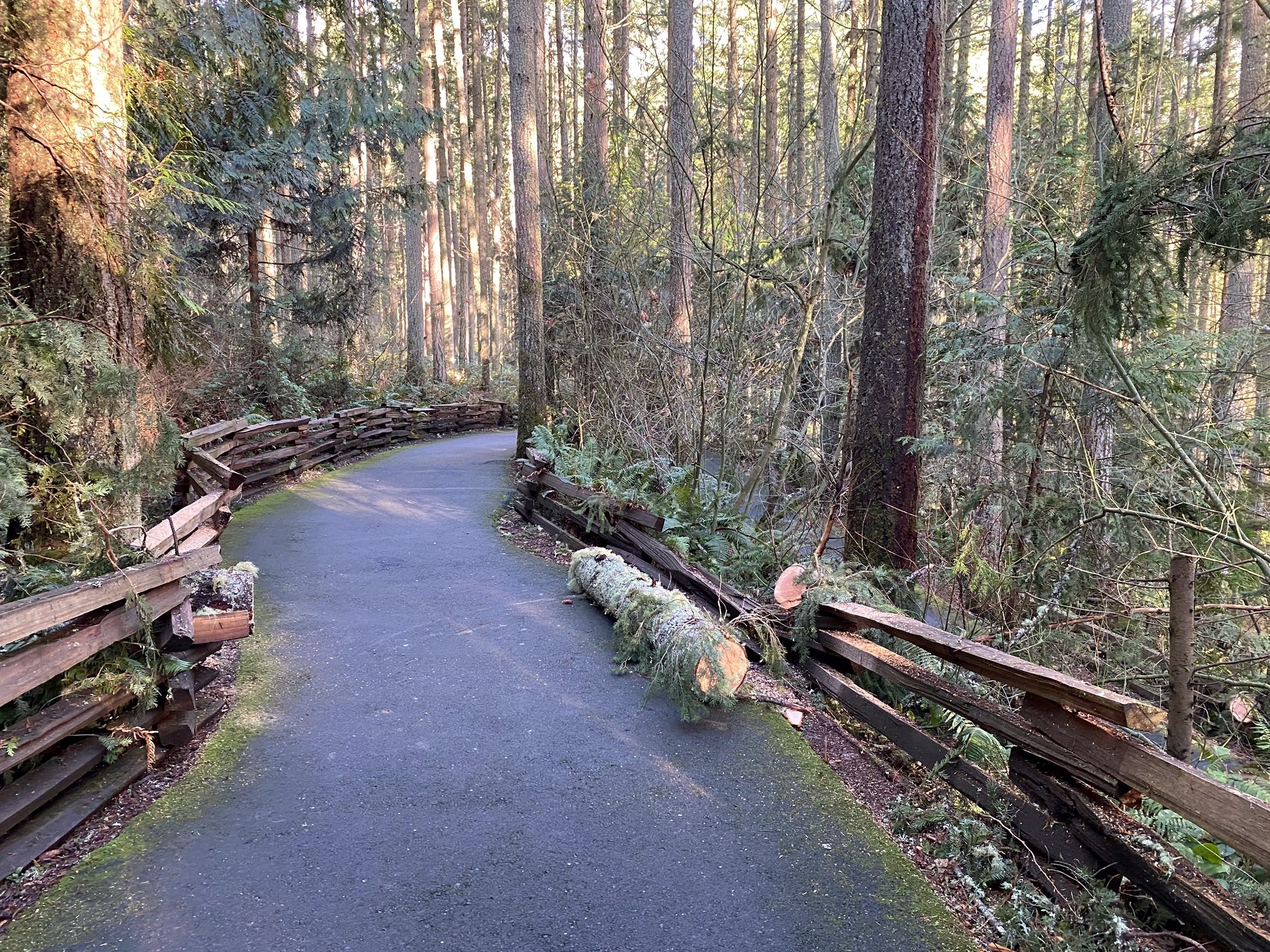 log on path