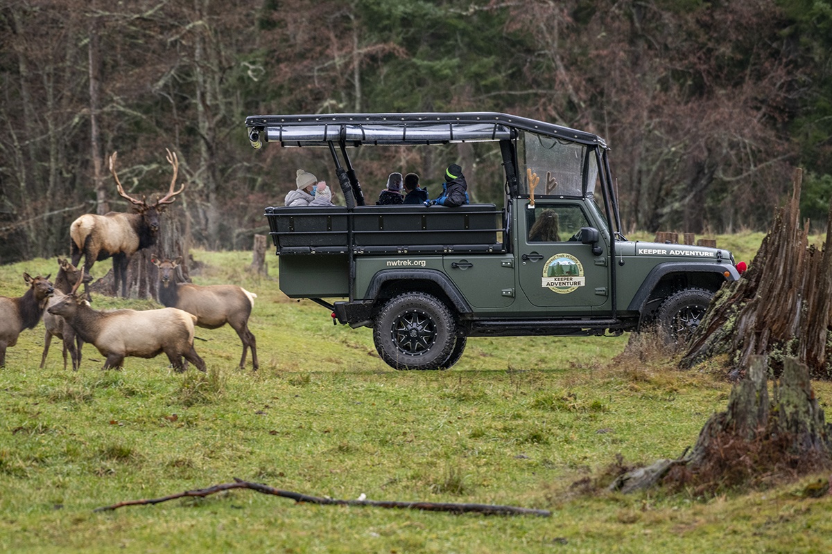 keeper tour with elk