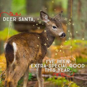 Deer-Santa-copy