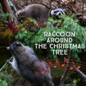 Raccoon-Around-the-Christmas-Tree-(1)