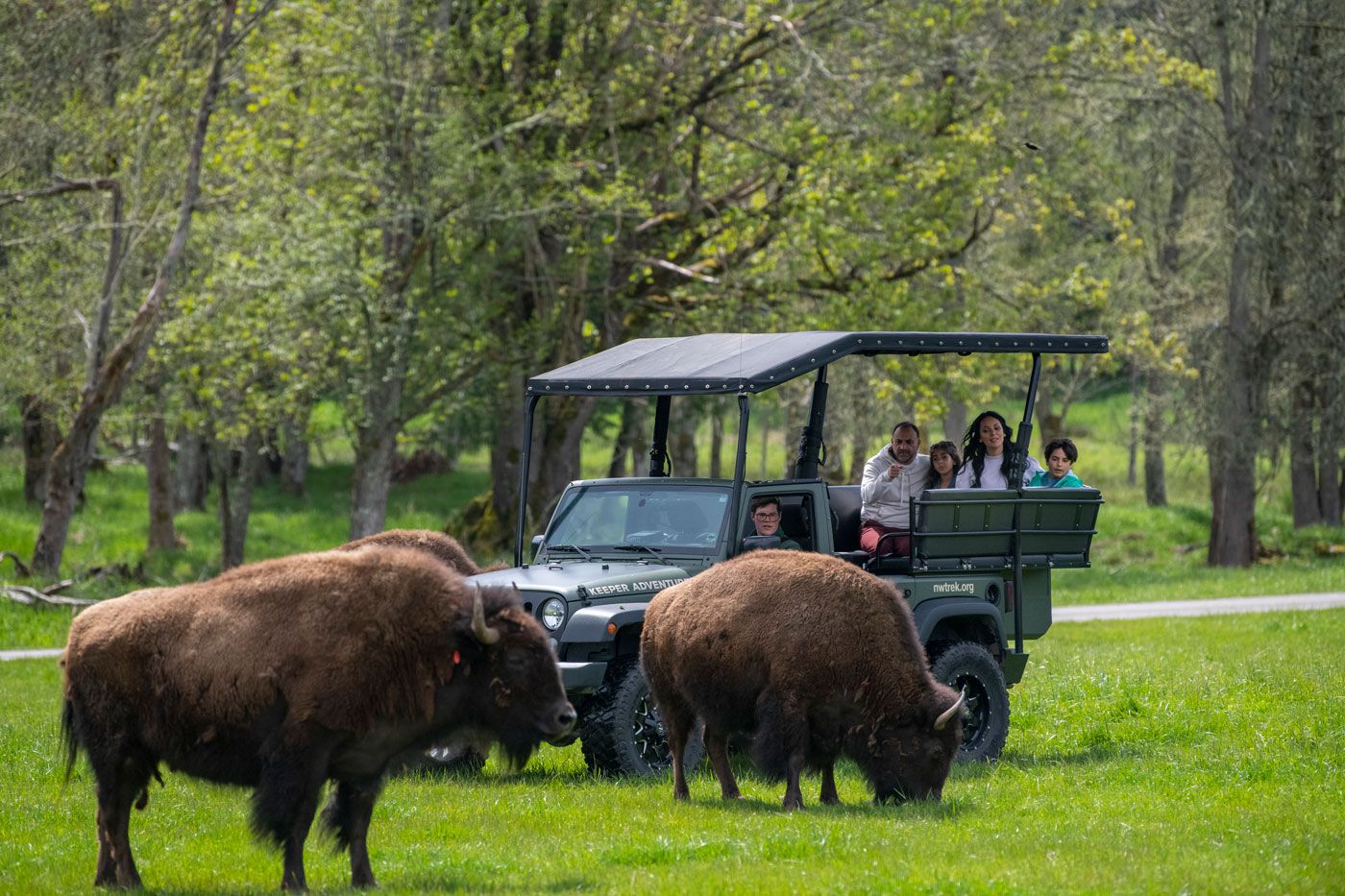 Keeper-Adventure-Tour-Family-in-Jeep-with-Bison
