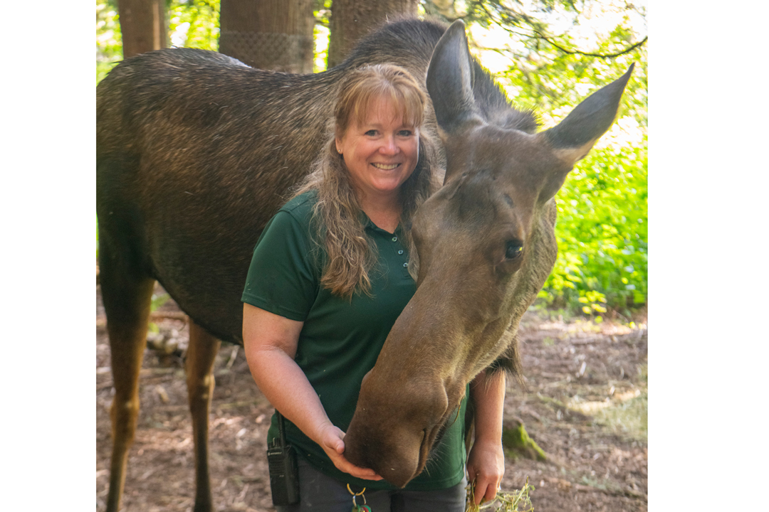 Keeper Week 2025 - Deanna, Luna moose