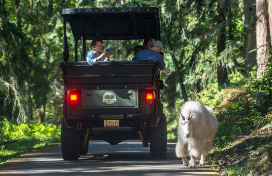 Keeper Adventure Tour in FRA with mt goat